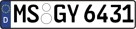 MS-GY6431