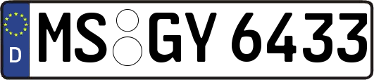 MS-GY6433