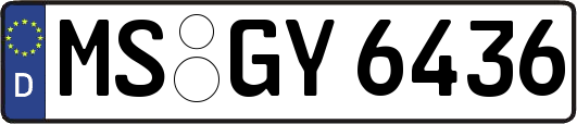 MS-GY6436