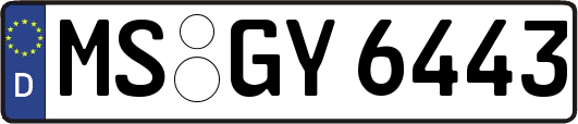 MS-GY6443
