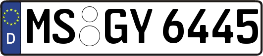 MS-GY6445