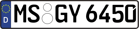 MS-GY6450