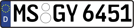 MS-GY6451
