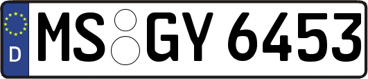 MS-GY6453