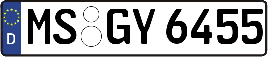 MS-GY6455