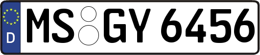 MS-GY6456
