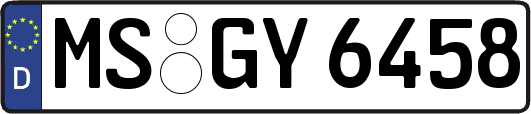 MS-GY6458