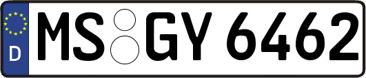 MS-GY6462