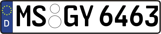 MS-GY6463