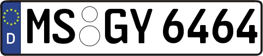 MS-GY6464