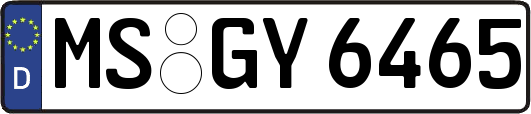 MS-GY6465