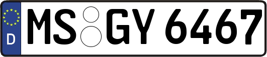 MS-GY6467