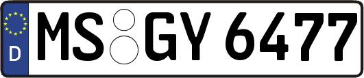 MS-GY6477