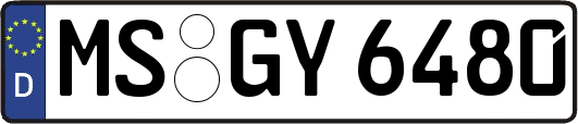 MS-GY6480