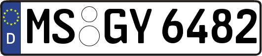 MS-GY6482