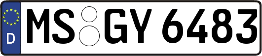 MS-GY6483
