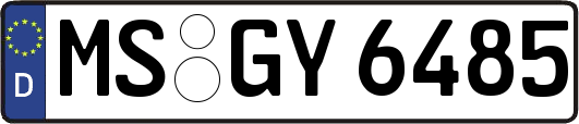 MS-GY6485