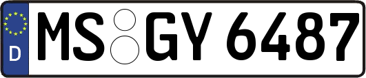 MS-GY6487