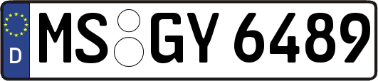 MS-GY6489