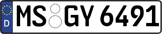 MS-GY6491