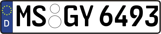 MS-GY6493
