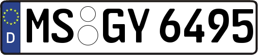 MS-GY6495