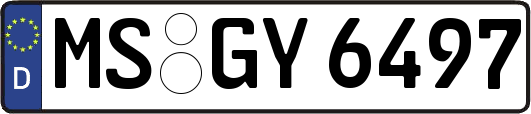 MS-GY6497