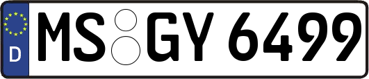 MS-GY6499