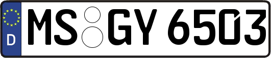 MS-GY6503