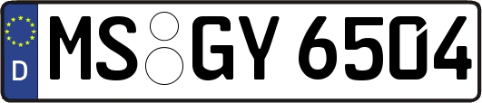 MS-GY6504