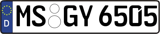 MS-GY6505