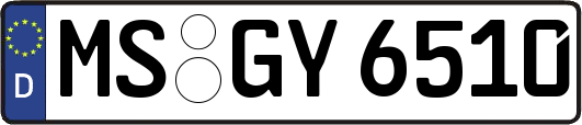 MS-GY6510
