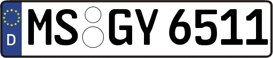 MS-GY6511