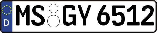 MS-GY6512