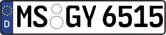 MS-GY6515