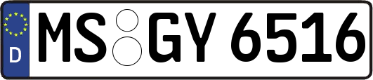 MS-GY6516