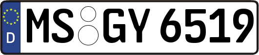 MS-GY6519