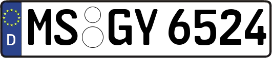 MS-GY6524