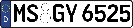 MS-GY6525