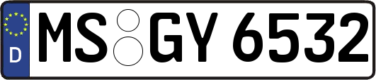 MS-GY6532