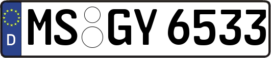 MS-GY6533