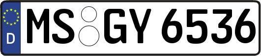 MS-GY6536
