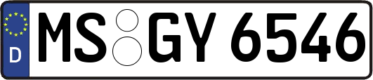 MS-GY6546