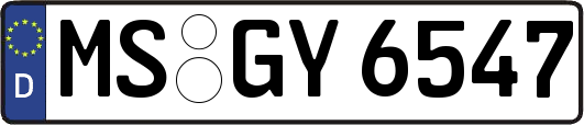 MS-GY6547