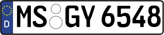 MS-GY6548
