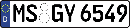 MS-GY6549