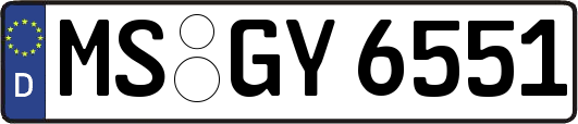 MS-GY6551