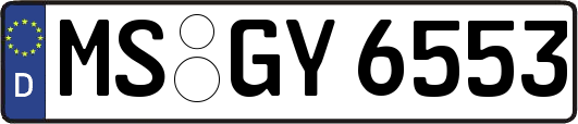 MS-GY6553