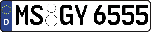 MS-GY6555
