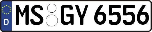 MS-GY6556